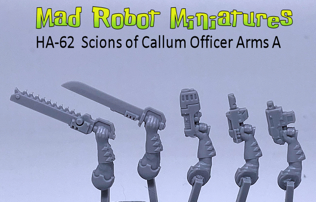 Scions of Callum - Officer Arms A