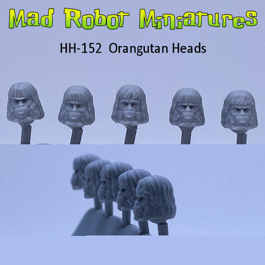 Orangutan Heads